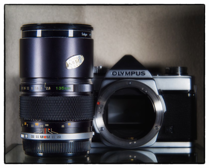 OLYMPUS DIGITAL CAMERA