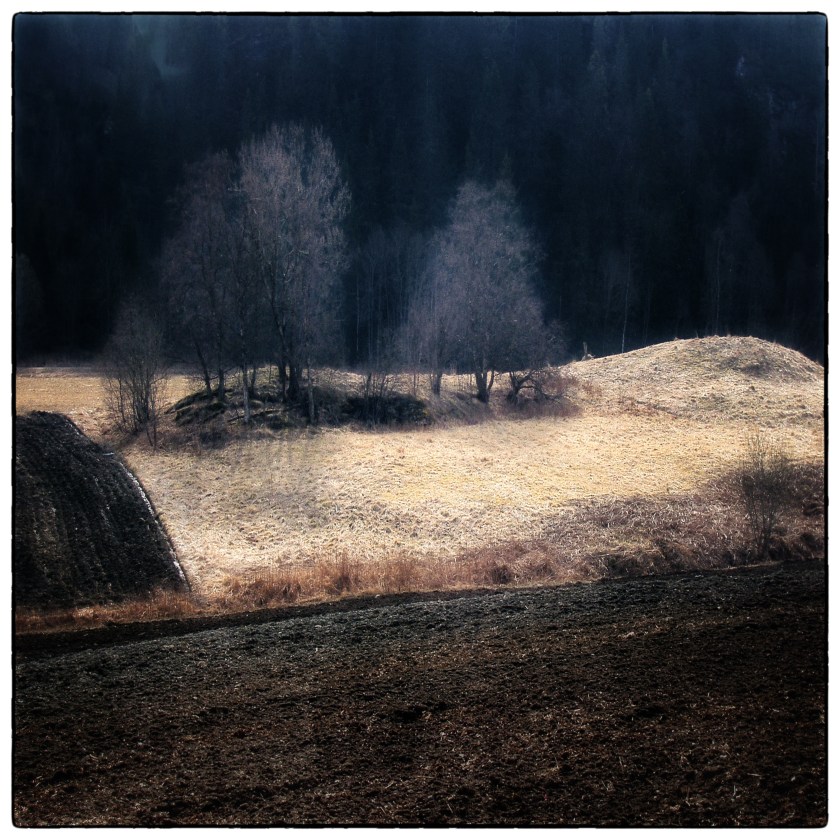 Trøndersk landskap analog