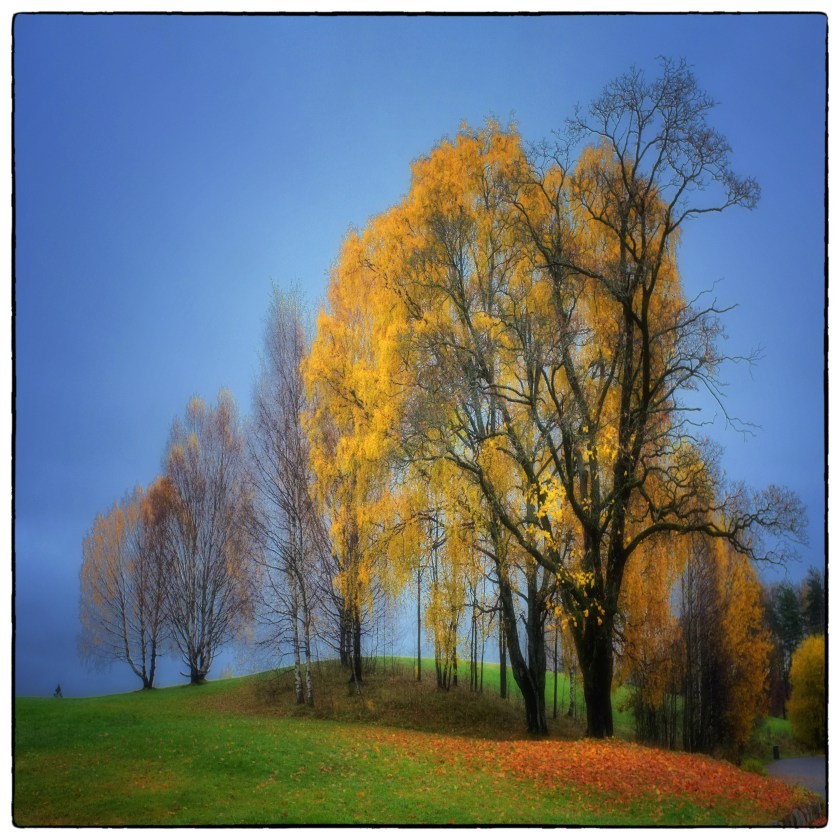 DSCF0117 copy border