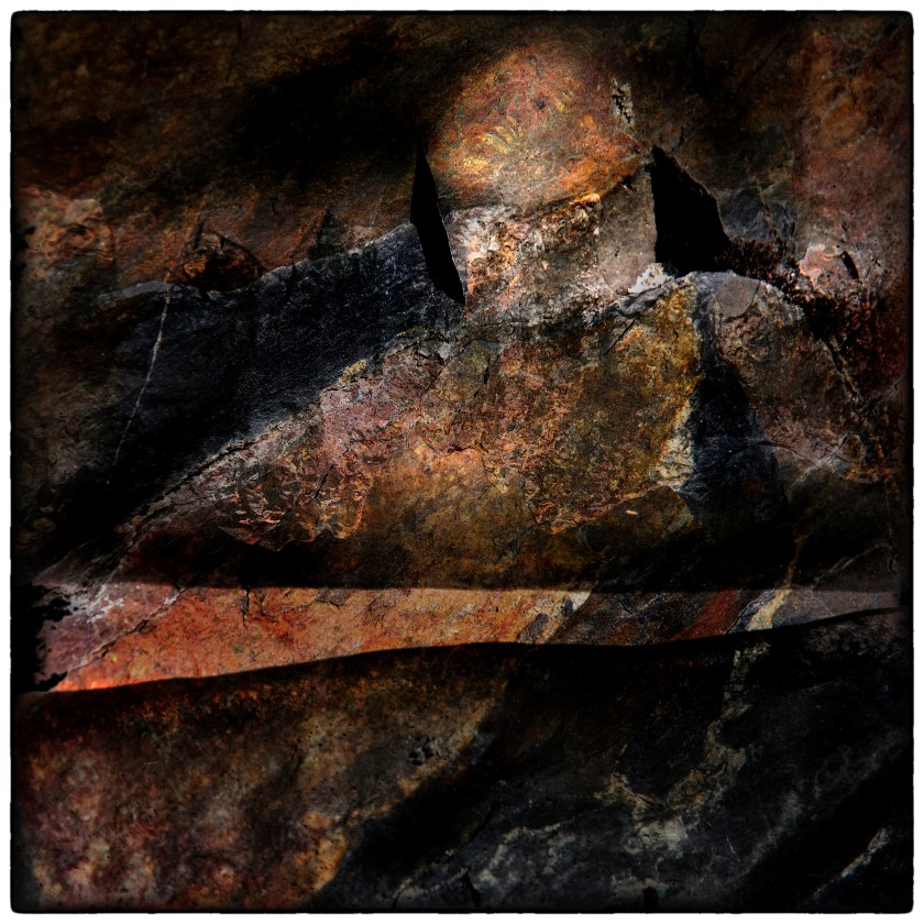 P3280017 copy copy.jpg