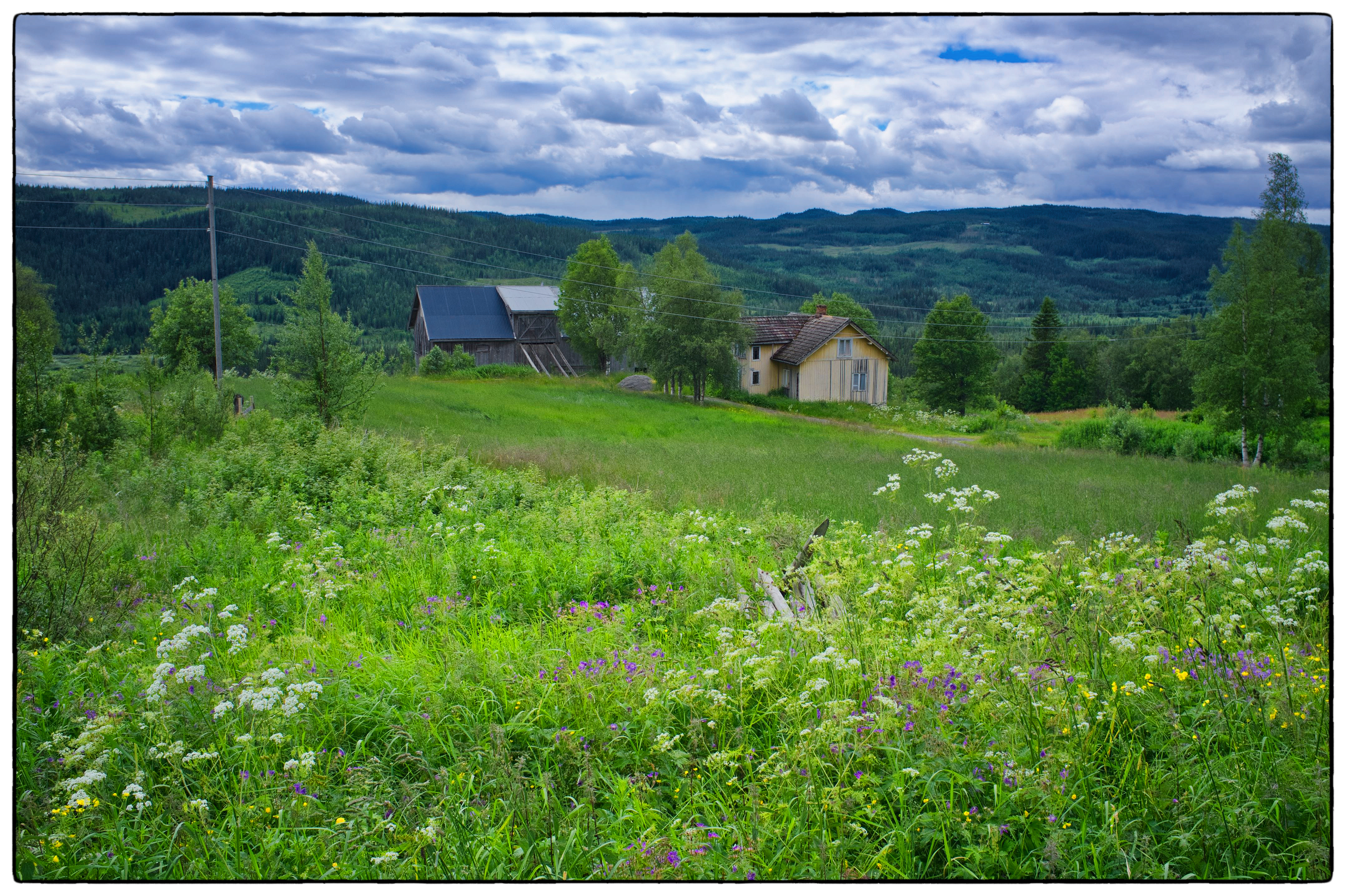 DSCF2753 luminar copy_edited-1