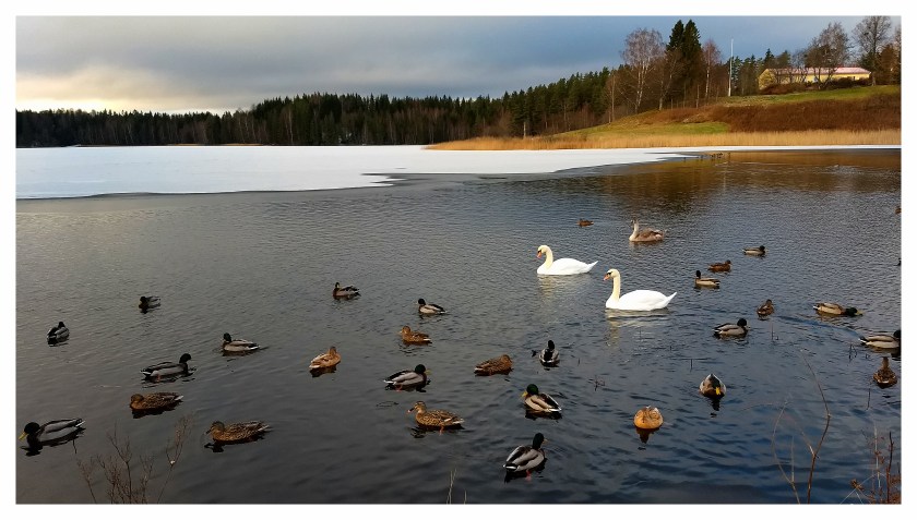 IMG_20171125_105743564