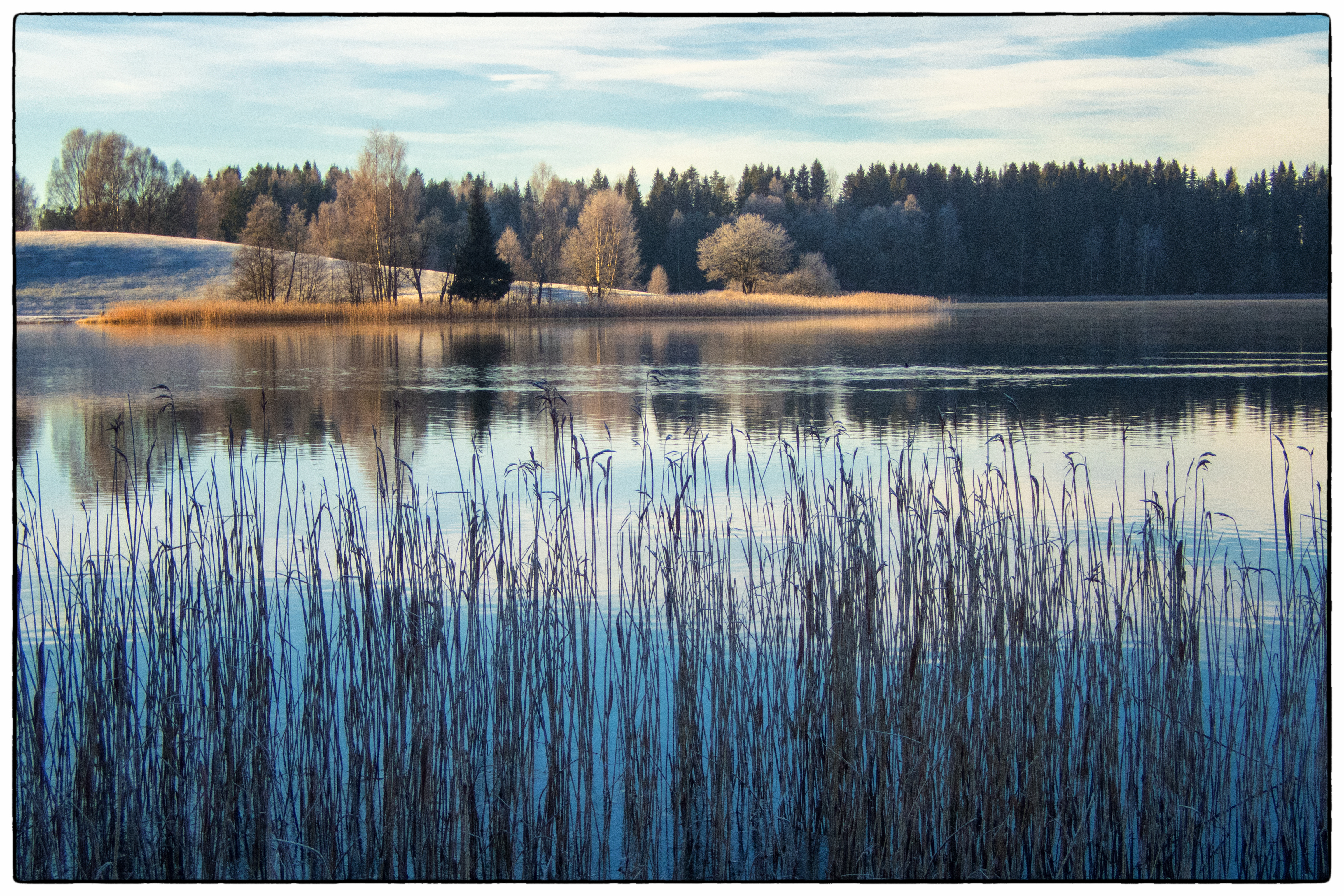 OLYMPUS DIGITAL CAMERA