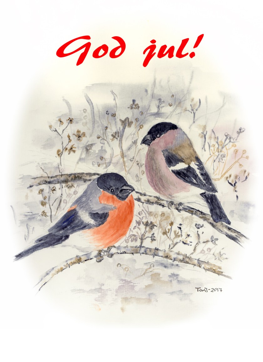 Julekort 2017_edited-3 med tekst