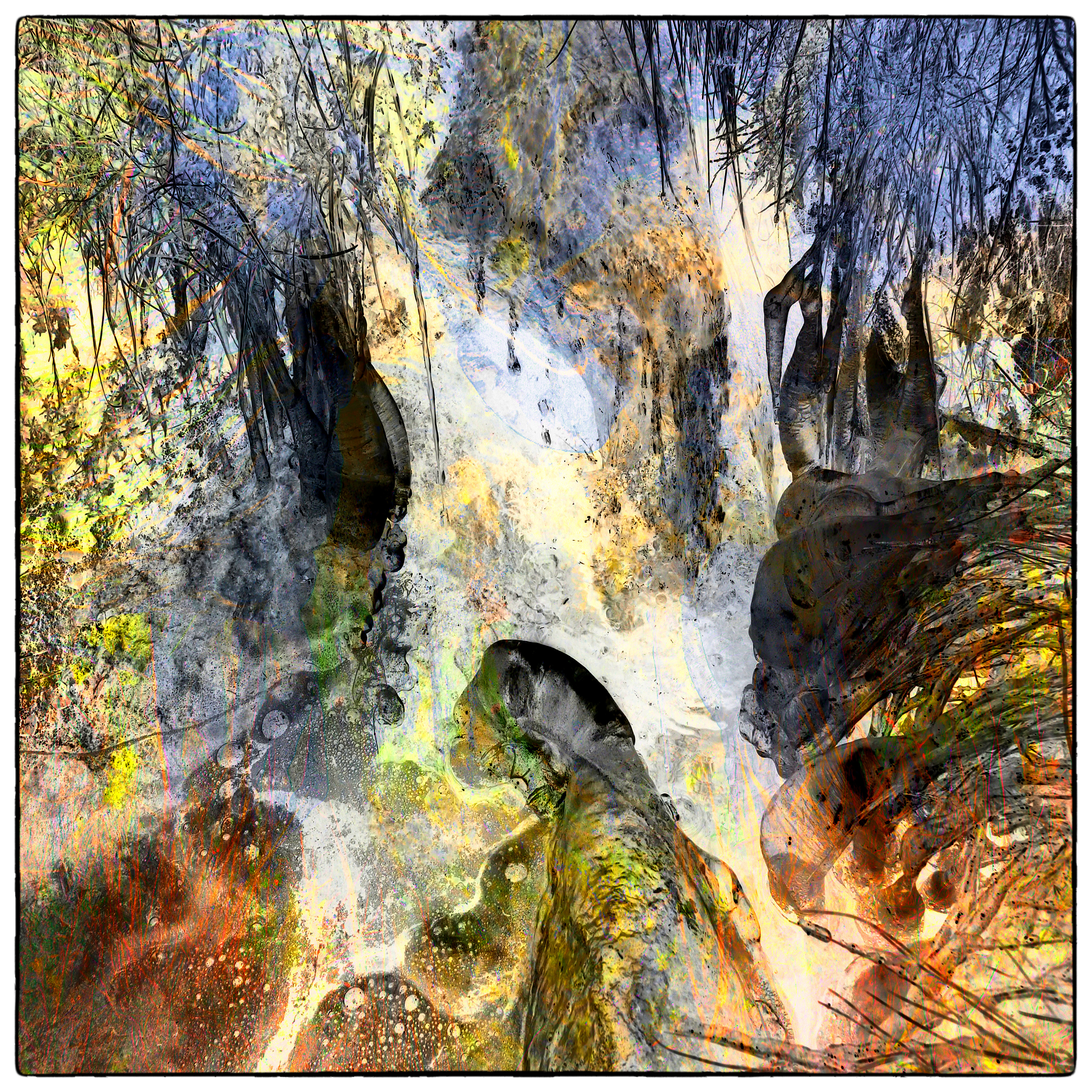 OLYMPUS DIGITAL CAMERA