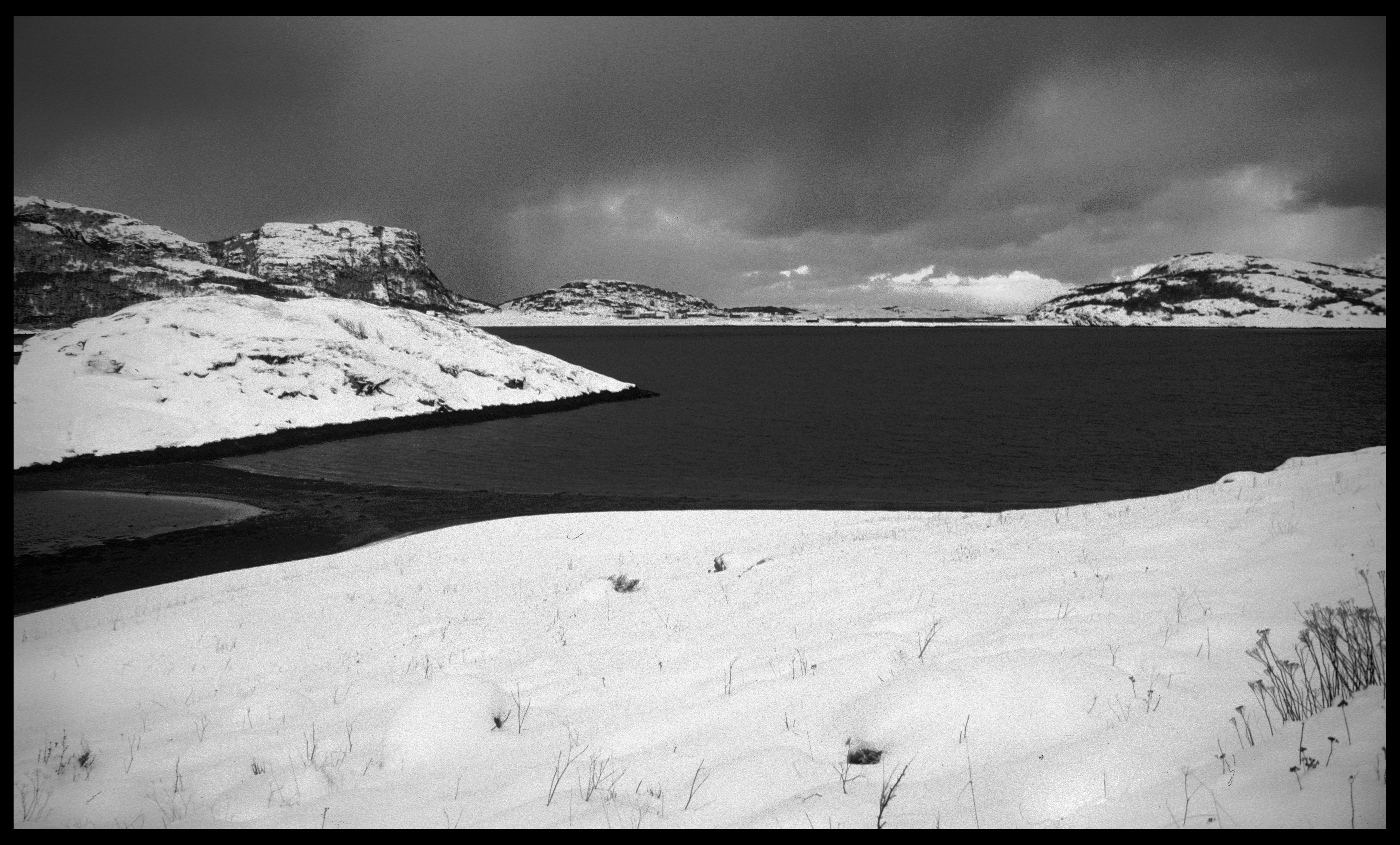 Roan96 copy_edited-1