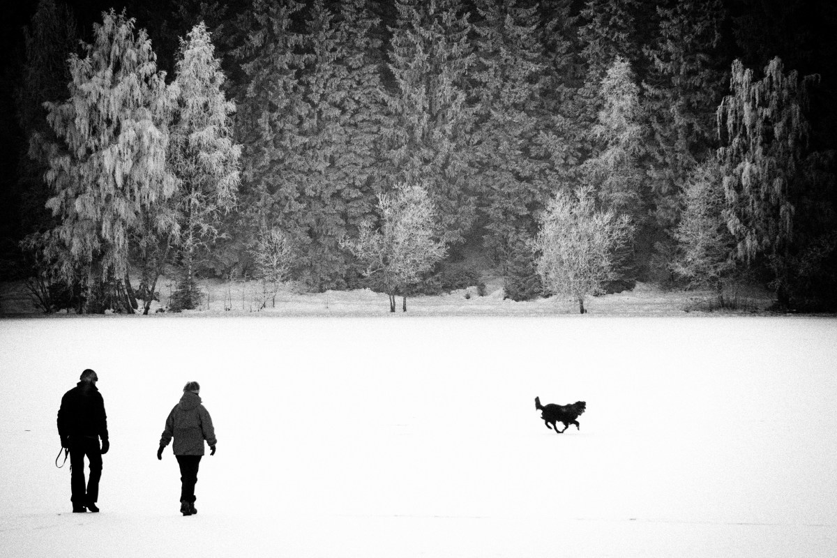 Møte i fotogruppa 15.&nbsp;februar