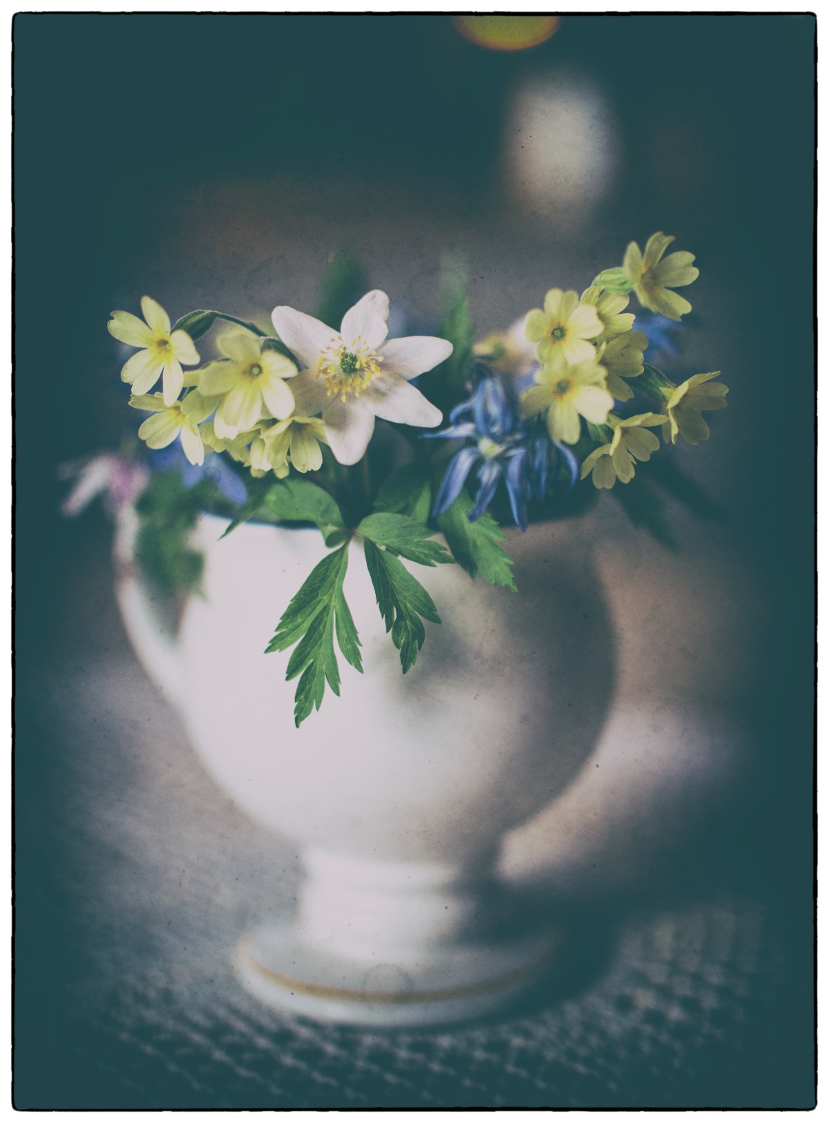 Analog Efex Pro&nbsp;2