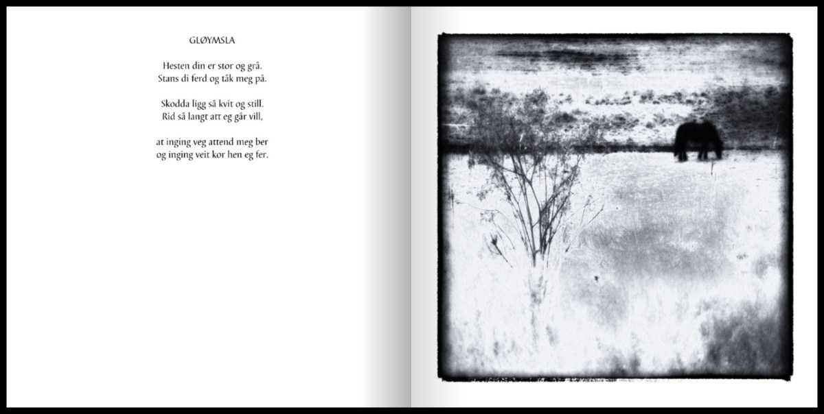 Fotobok med dikt og&nbsp;bilder
