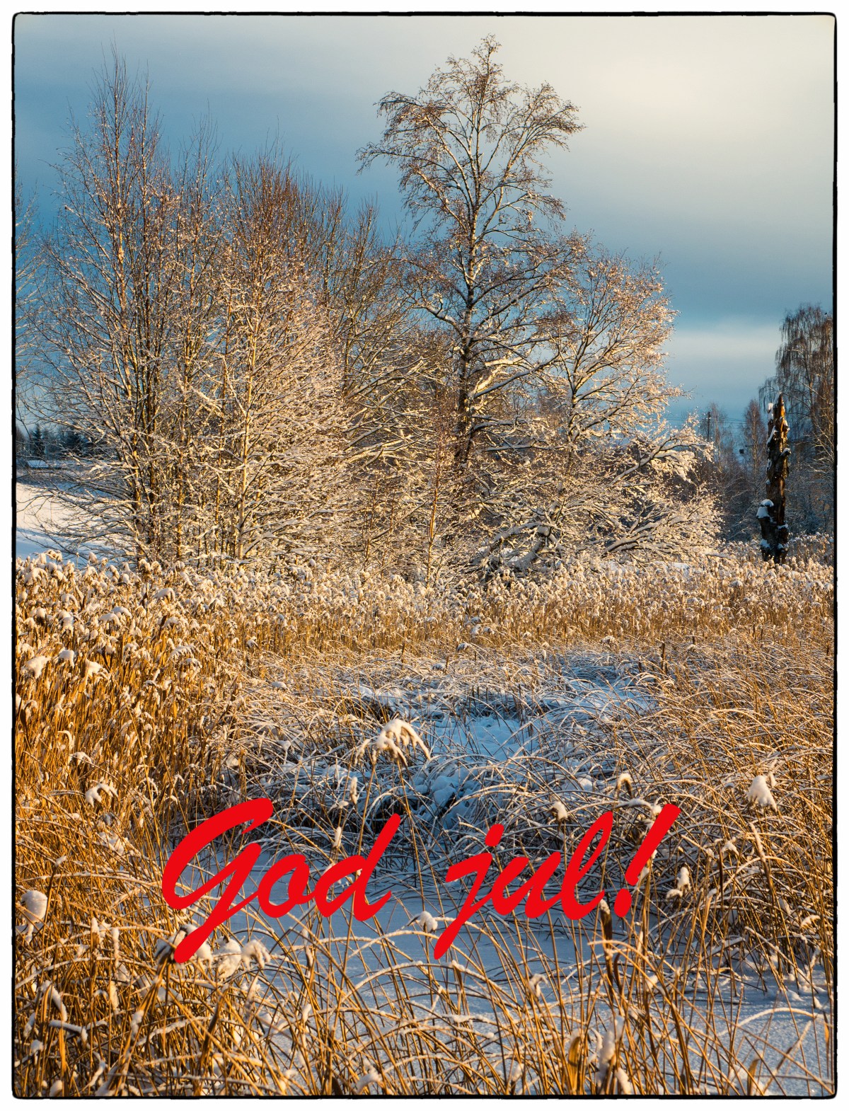 God jul!