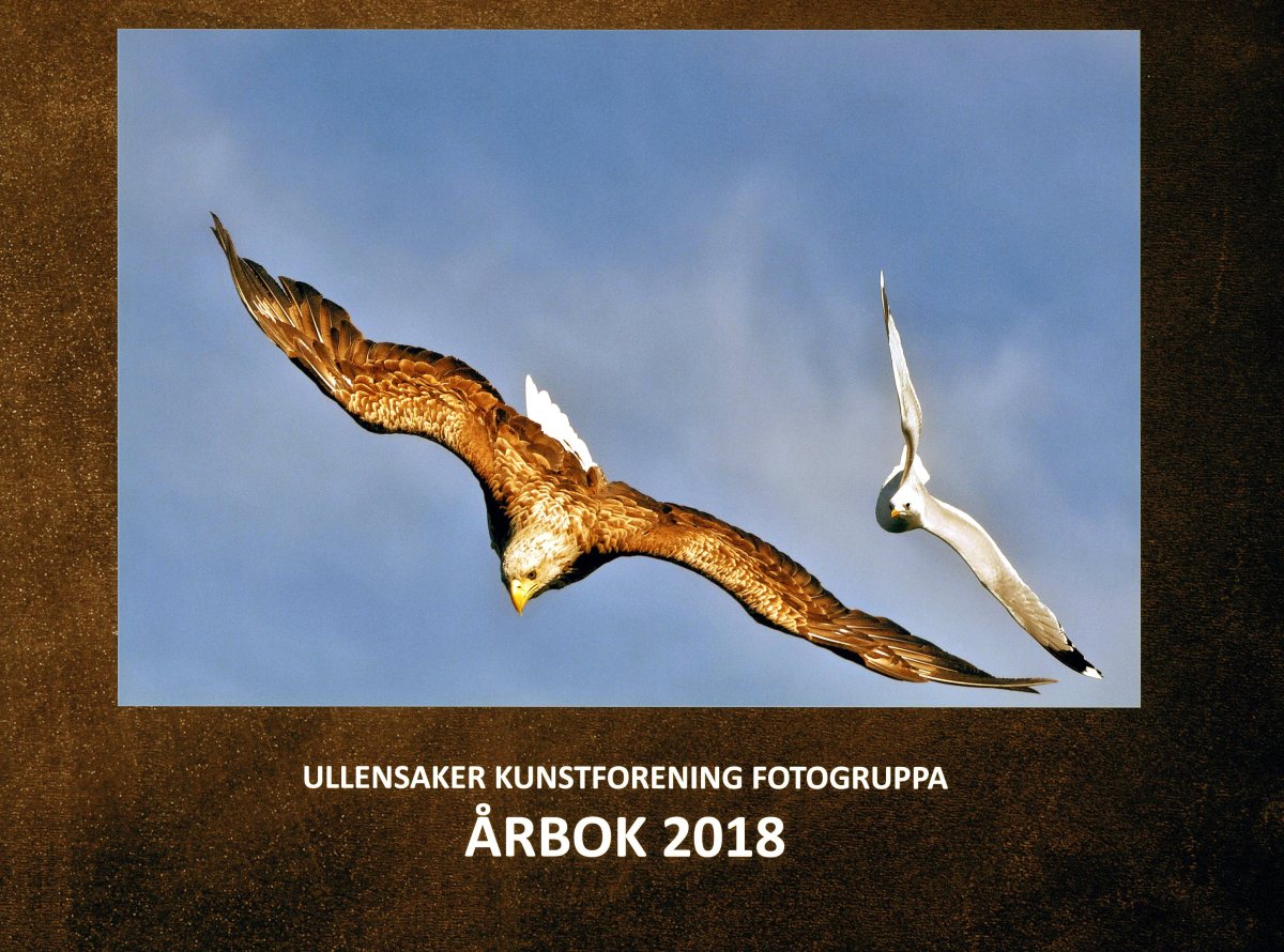 Møte i Fotogruppa 6.&nbsp;desember