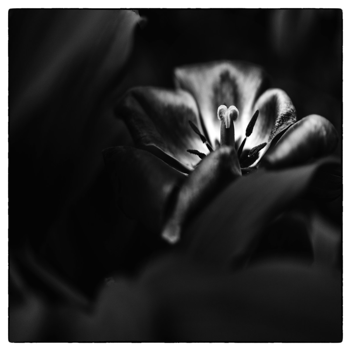 Hvorfor jeg (nesten) aldri sletter et&nbsp;bilde