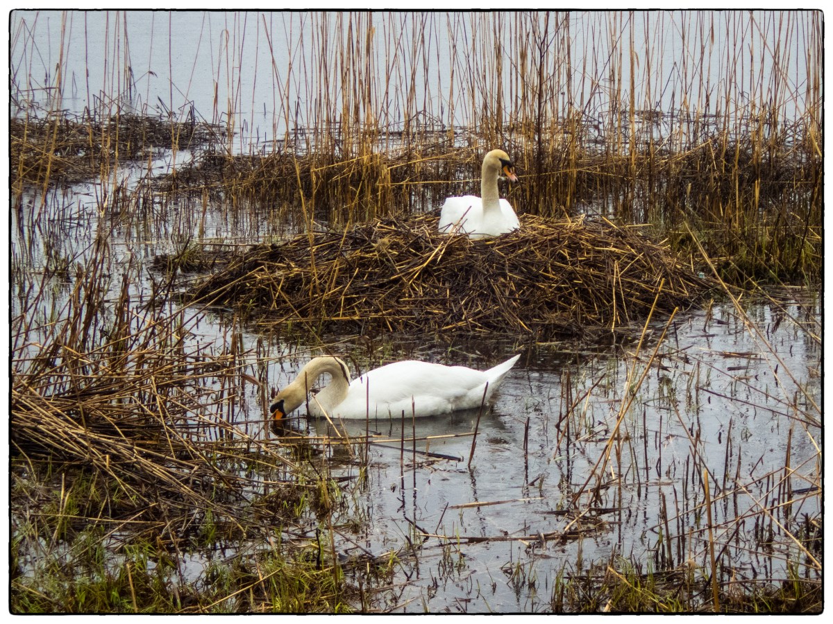 Medlemsmøte i Fotogruppa torsdag 23. mai på Nordbytjernet kl.&nbsp;18:30