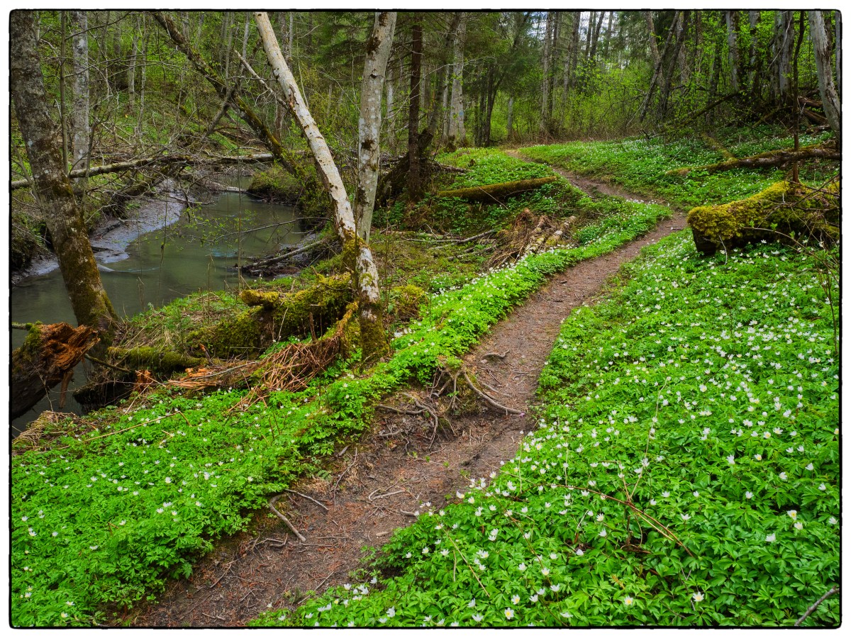 Møte i fotogruppa torsdag 9.&nbsp;mai