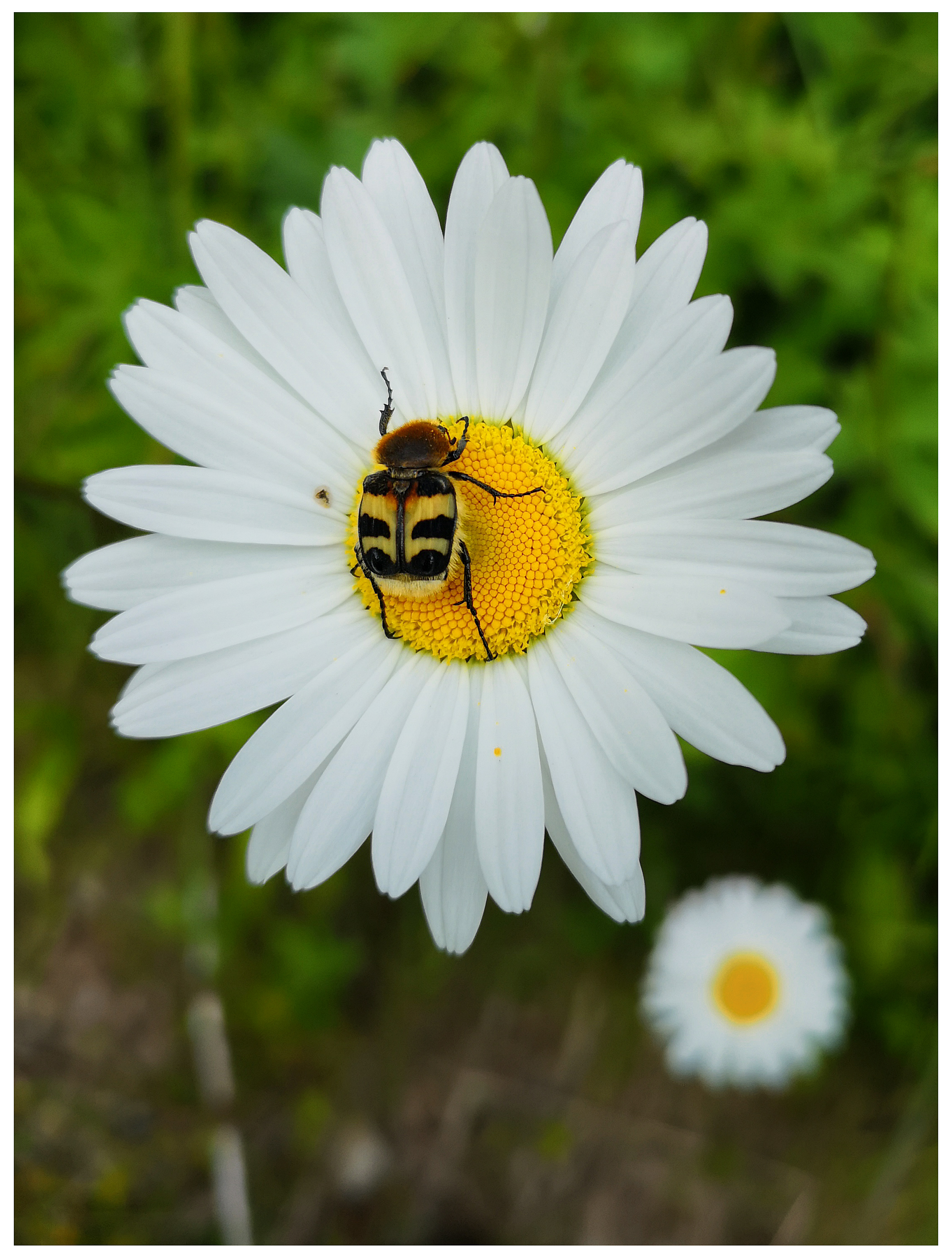 IMG_20190718_141053 copy.jpg