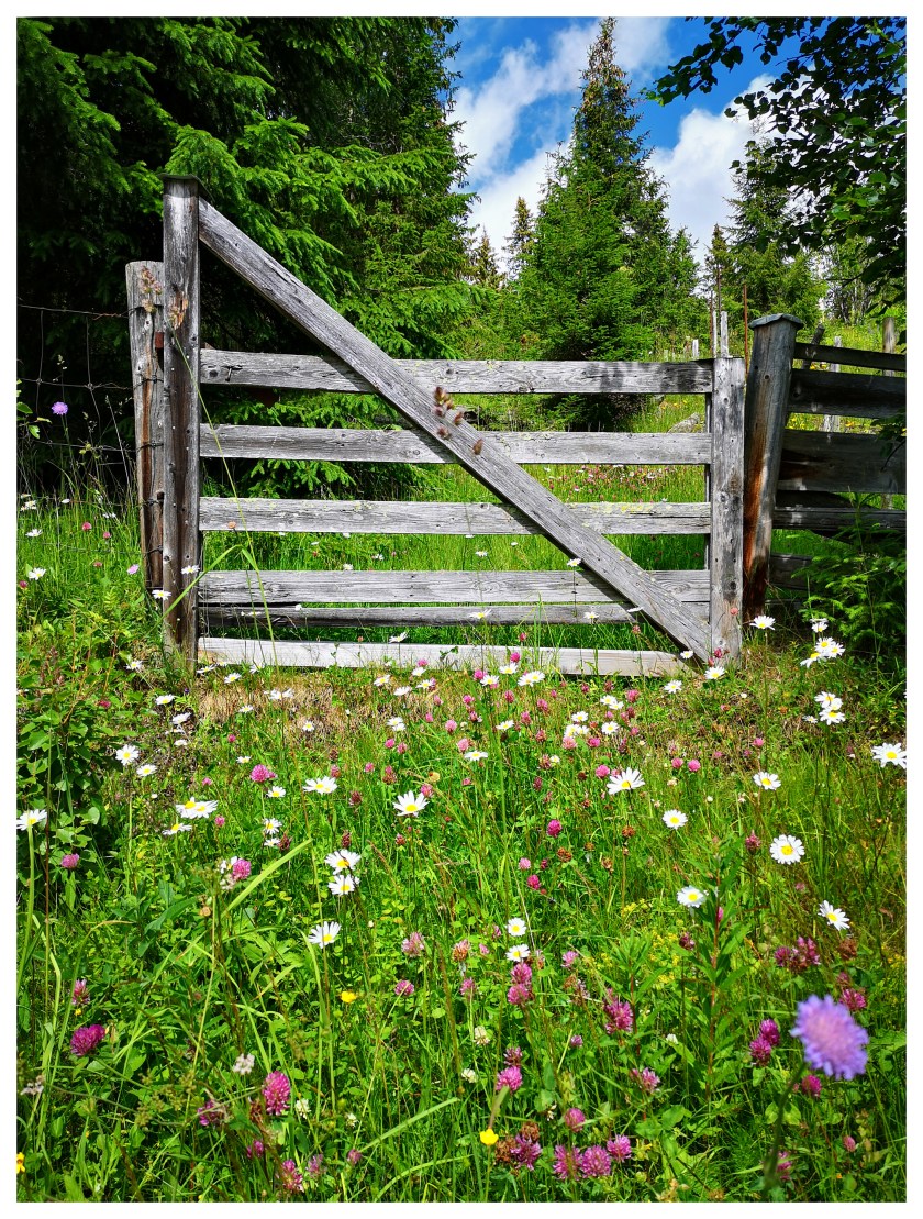 IMG_20190718_141443 copy.jpg